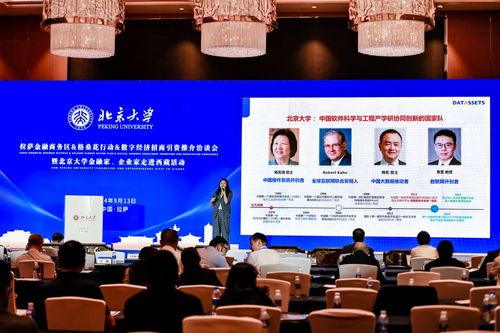 數字經濟新引擎 2024拉薩金融商務區格?；ㄐ袆诱猩桃Y洽談會啟航