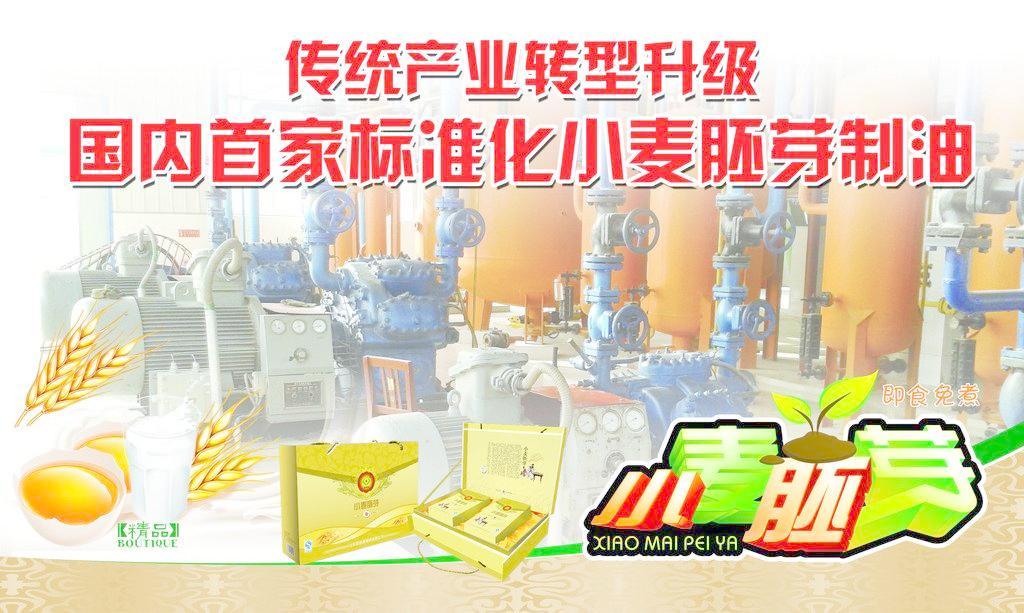 小麥胚芽 從科研圖像到產(chǎn)業(yè)服務(wù)——探索會議與展覽在現(xiàn)代農(nóng)業(yè)中的價(jià)值