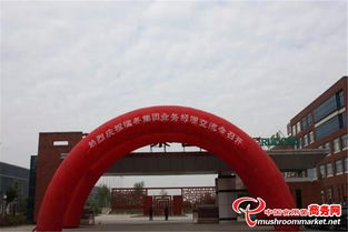 瑞冬集團(tuán)成功舉辦業(yè)務(wù)經(jīng)理交流會，以拳頭產(chǎn)品與核心研制能力引領(lǐng)行業(yè)新風(fēng)向